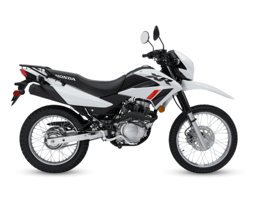 Dual Sport