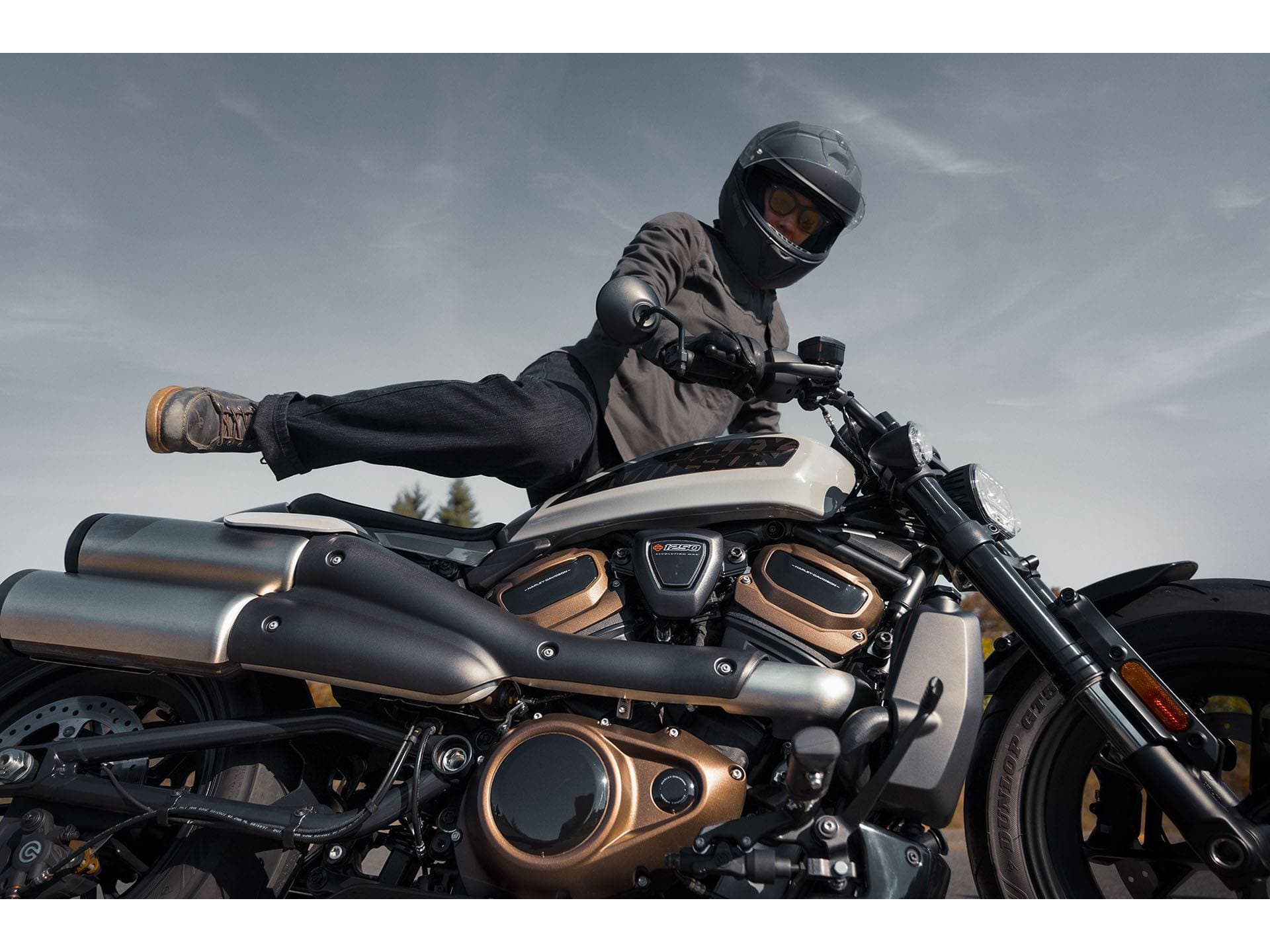 2024 Harley-Davidson Sportster® S - media 9
