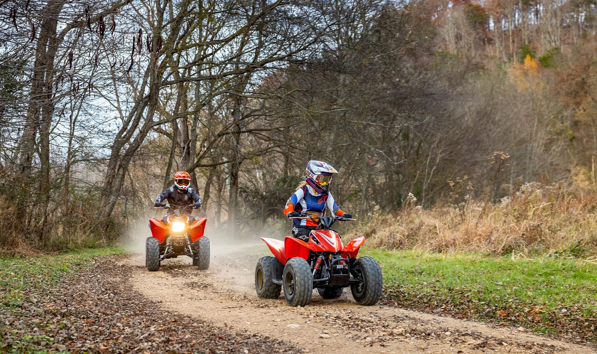 2026 Honda TRX90X - media 2