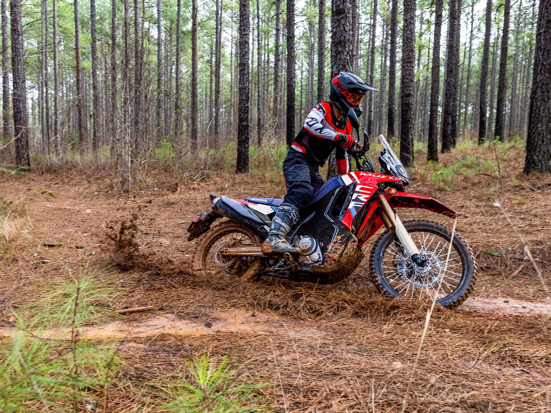 2025 Honda CRF300L Rally ABS - media 10