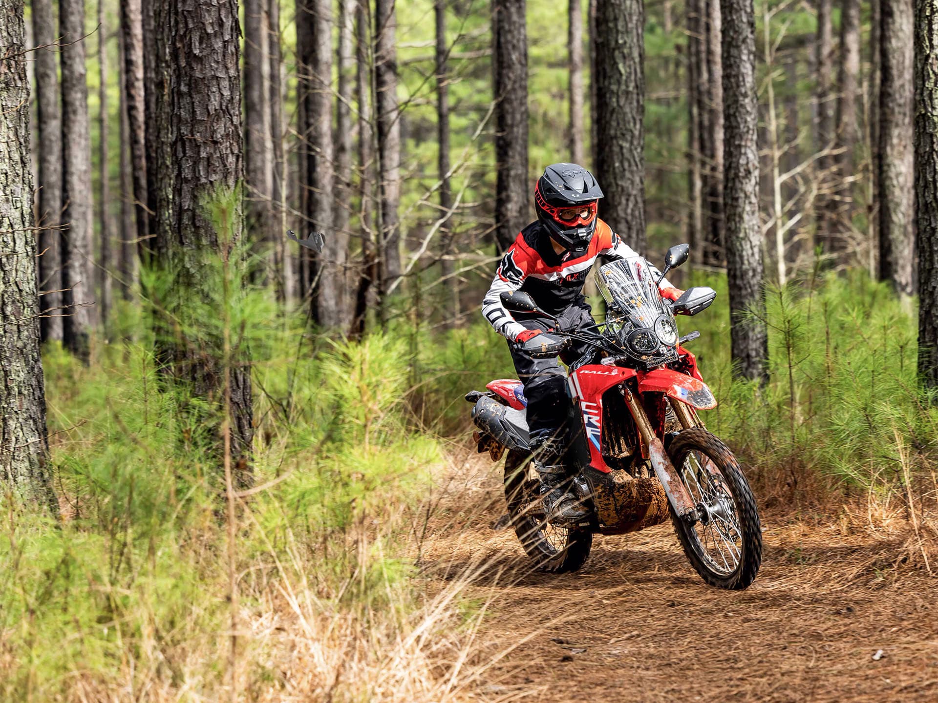 2025 Honda CRF300L Rally ABS - media 11