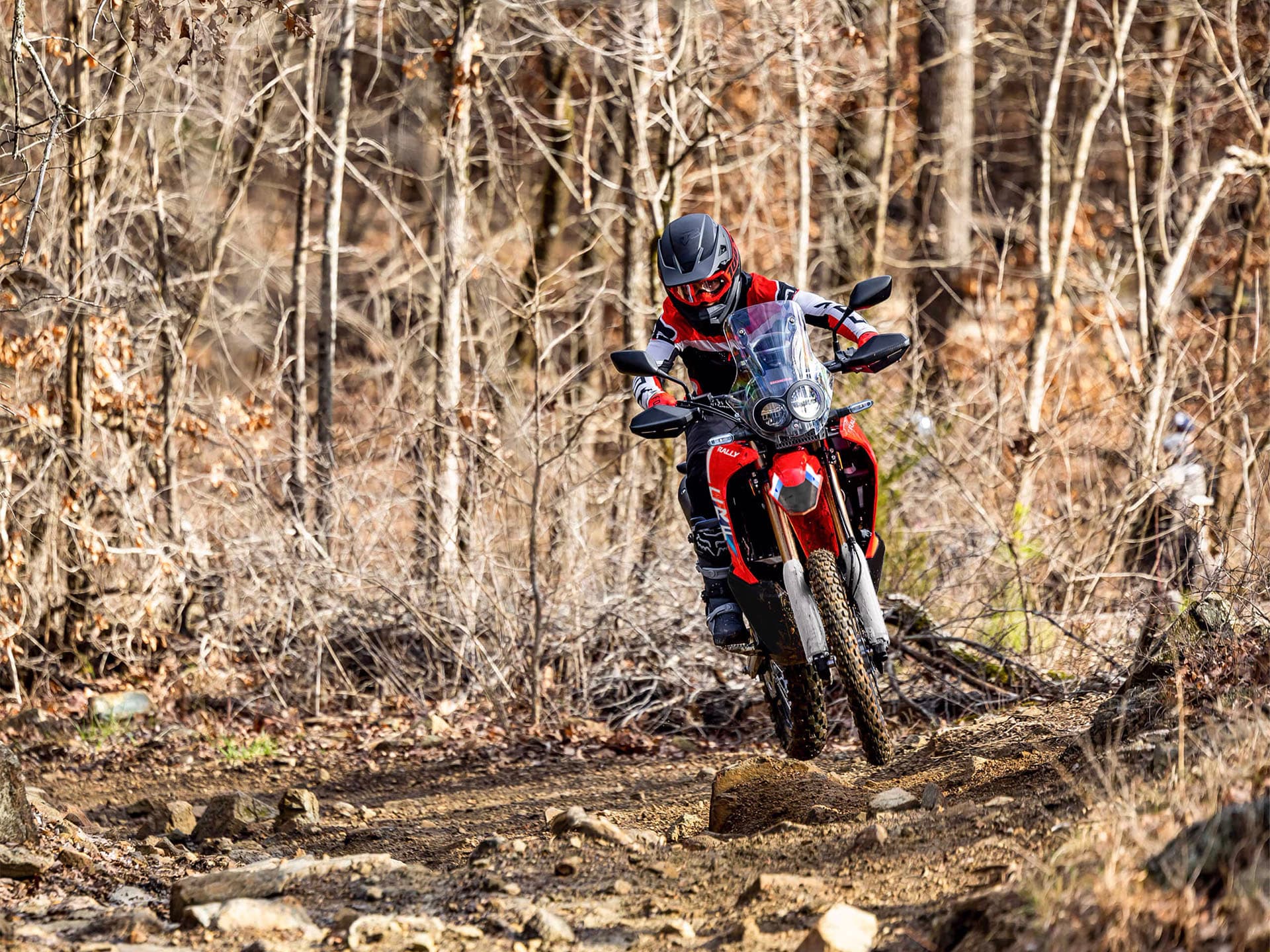 2025 Honda CRF300L Rally ABS - media 12