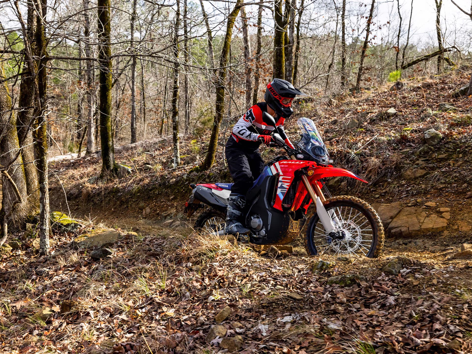 2025 Honda CRF300L Rally ABS - media 13
