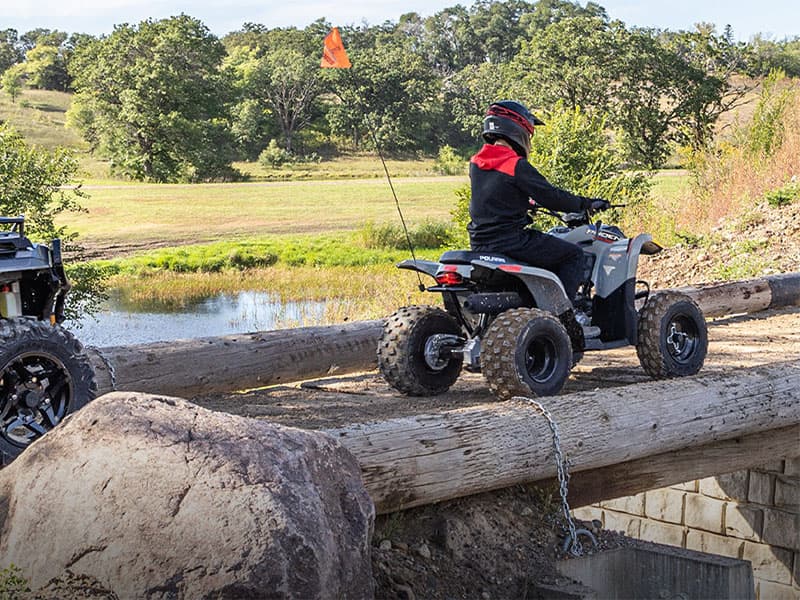 2025 Polaris Phoenix 200 - media 8