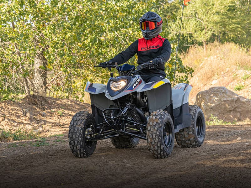 2025 Polaris Phoenix 200 - media 9