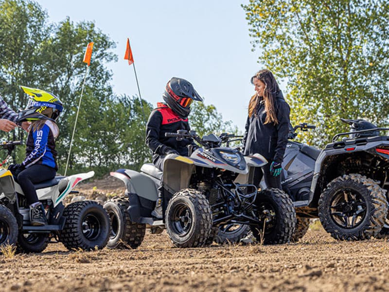 2025 Polaris Phoenix 200 - media 11