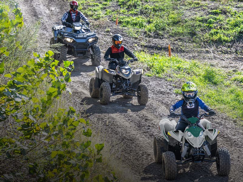 2025 Polaris Phoenix 200 - media 14