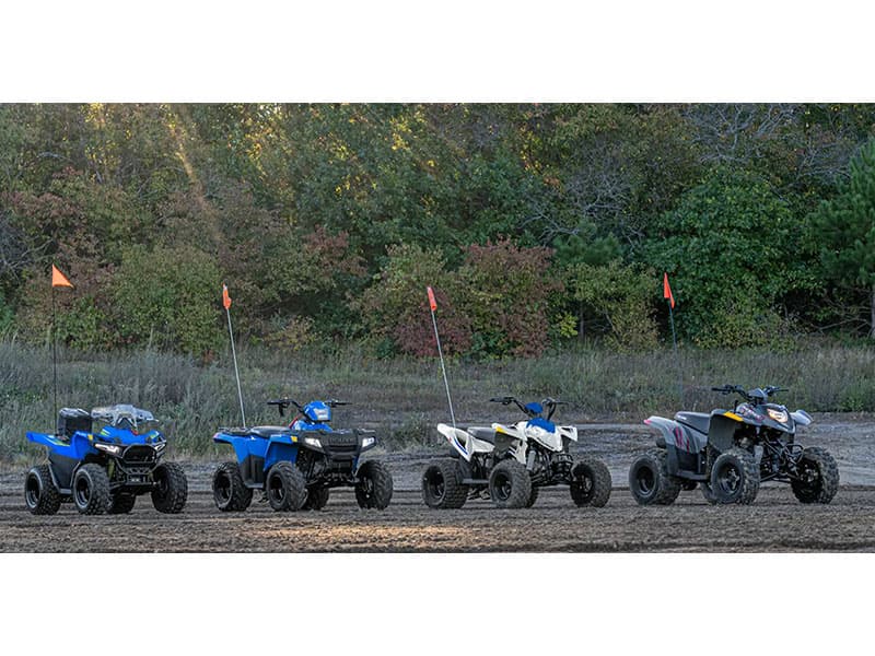 2025 Polaris Phoenix 200 - media 16