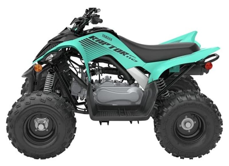 2025 Yamaha Raptor 110 - media 2