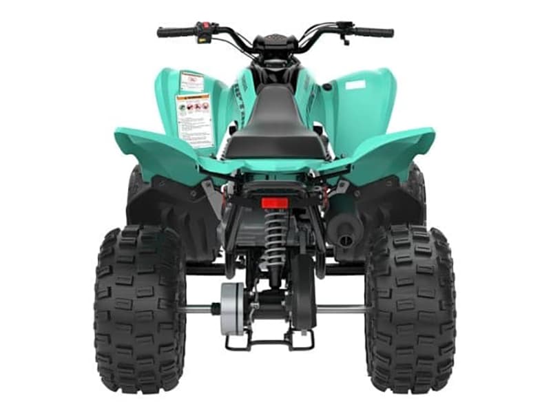 2025 Yamaha Raptor 110 - media 6