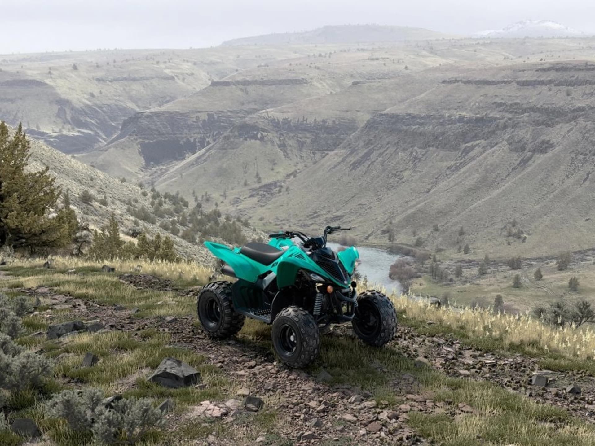 2025 Yamaha Raptor 110 - media 7