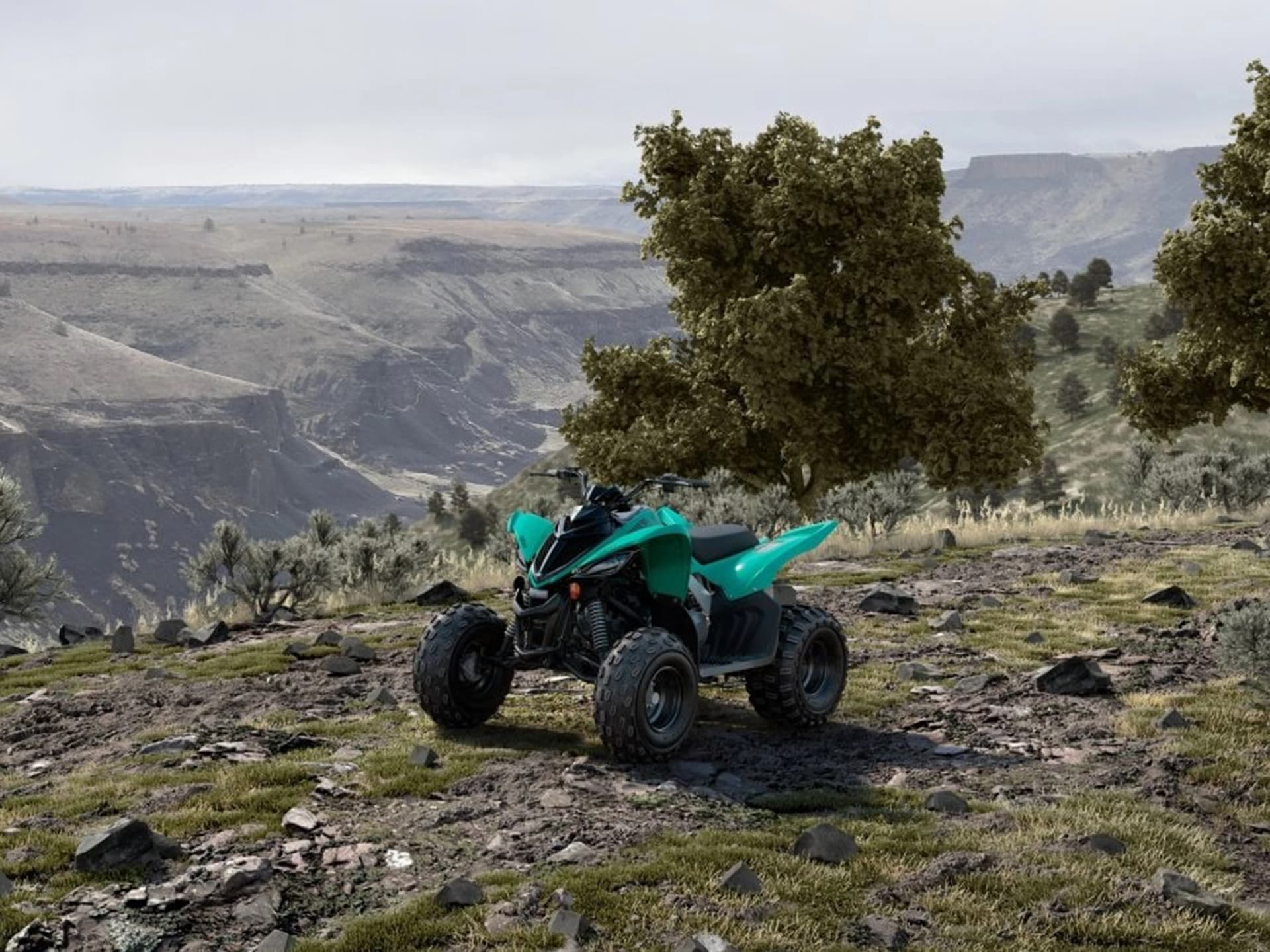 2025 Yamaha Raptor 110 - media 8