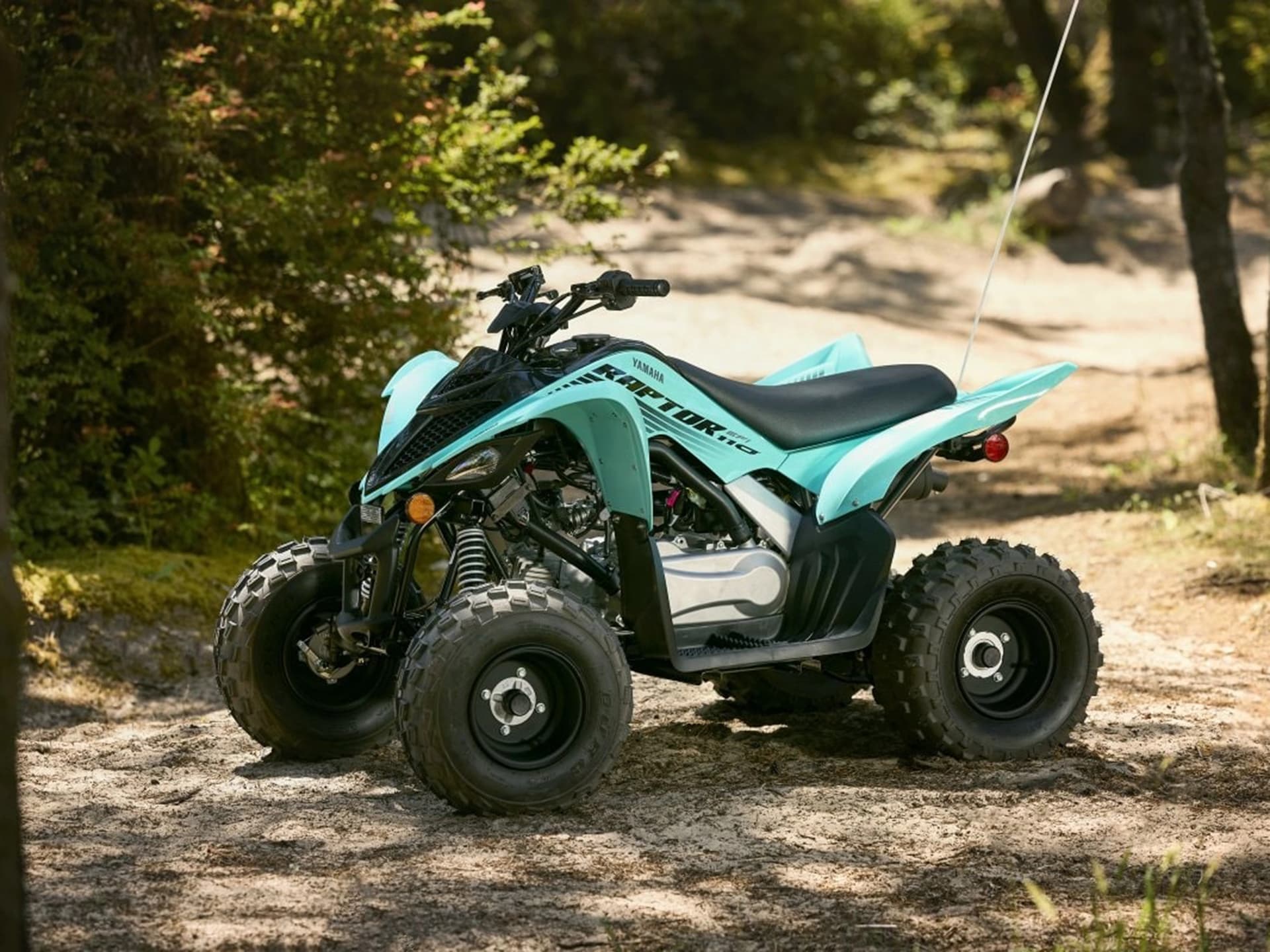 2025 Yamaha Raptor 110 - media 9