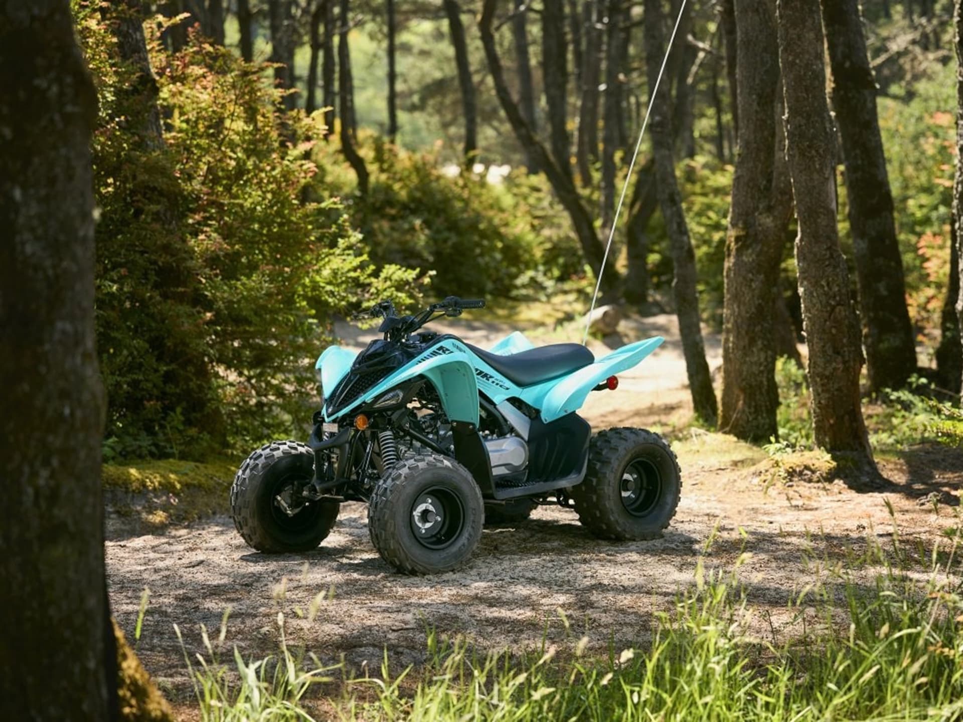 2025 Yamaha Raptor 110 - media 10