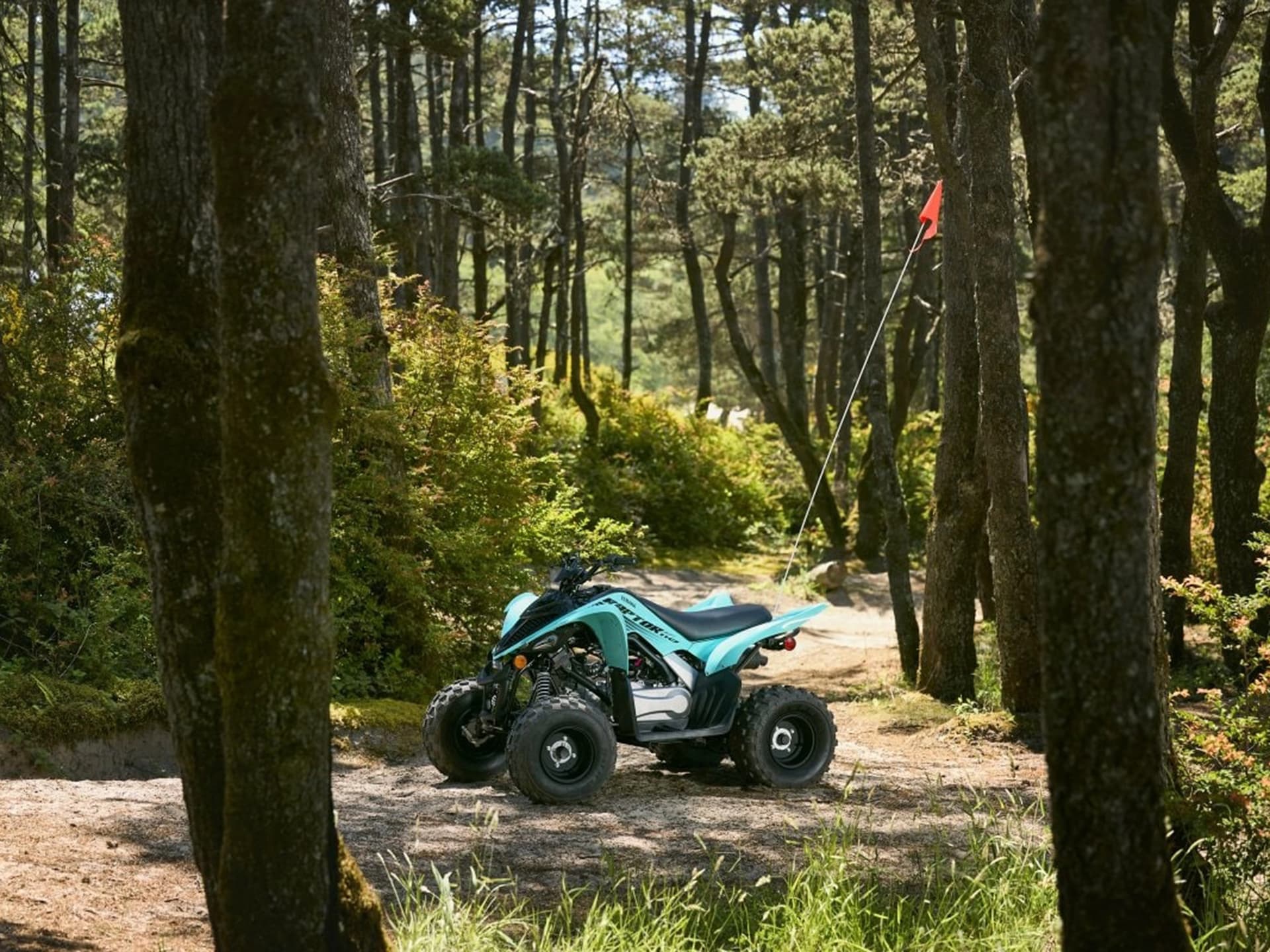2025 Yamaha Raptor 110 - media 11