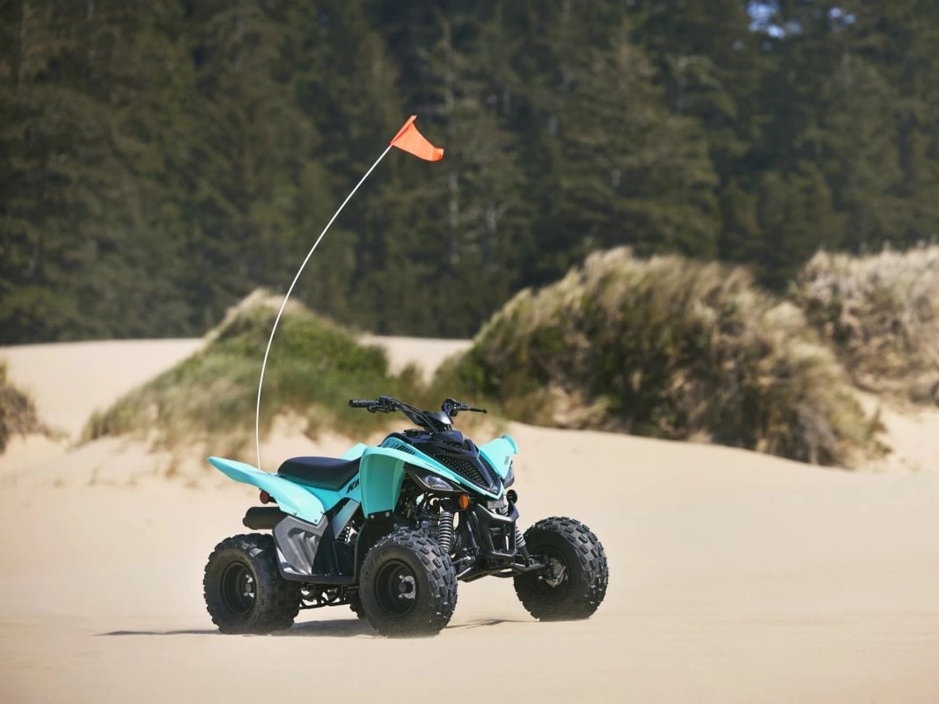 2025 Yamaha Raptor 110 - media 12