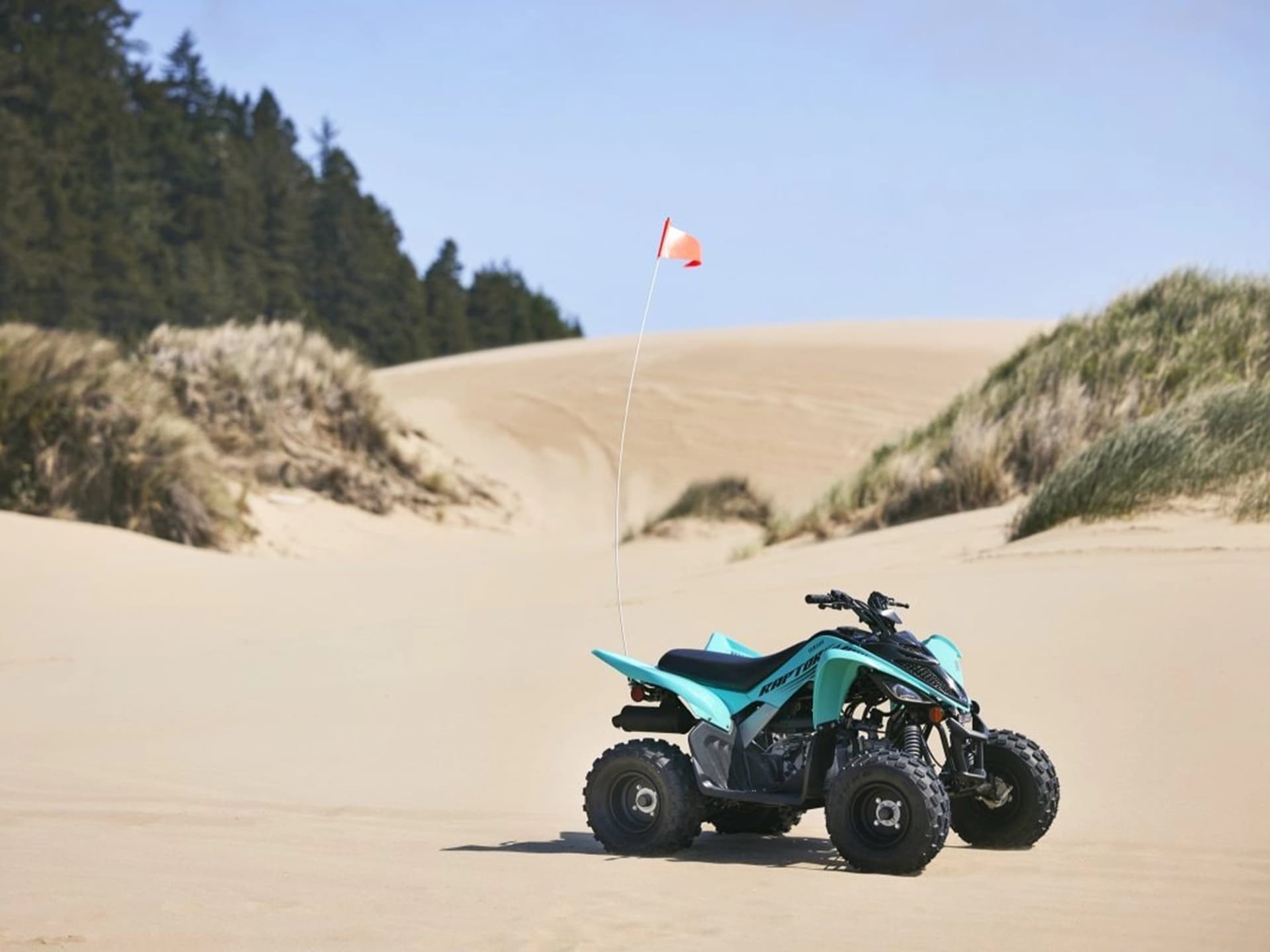 2025 Yamaha Raptor 110 - media 14