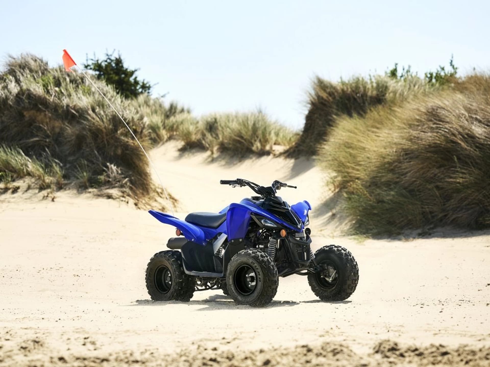 2025 Yamaha Raptor 110 - media 15
