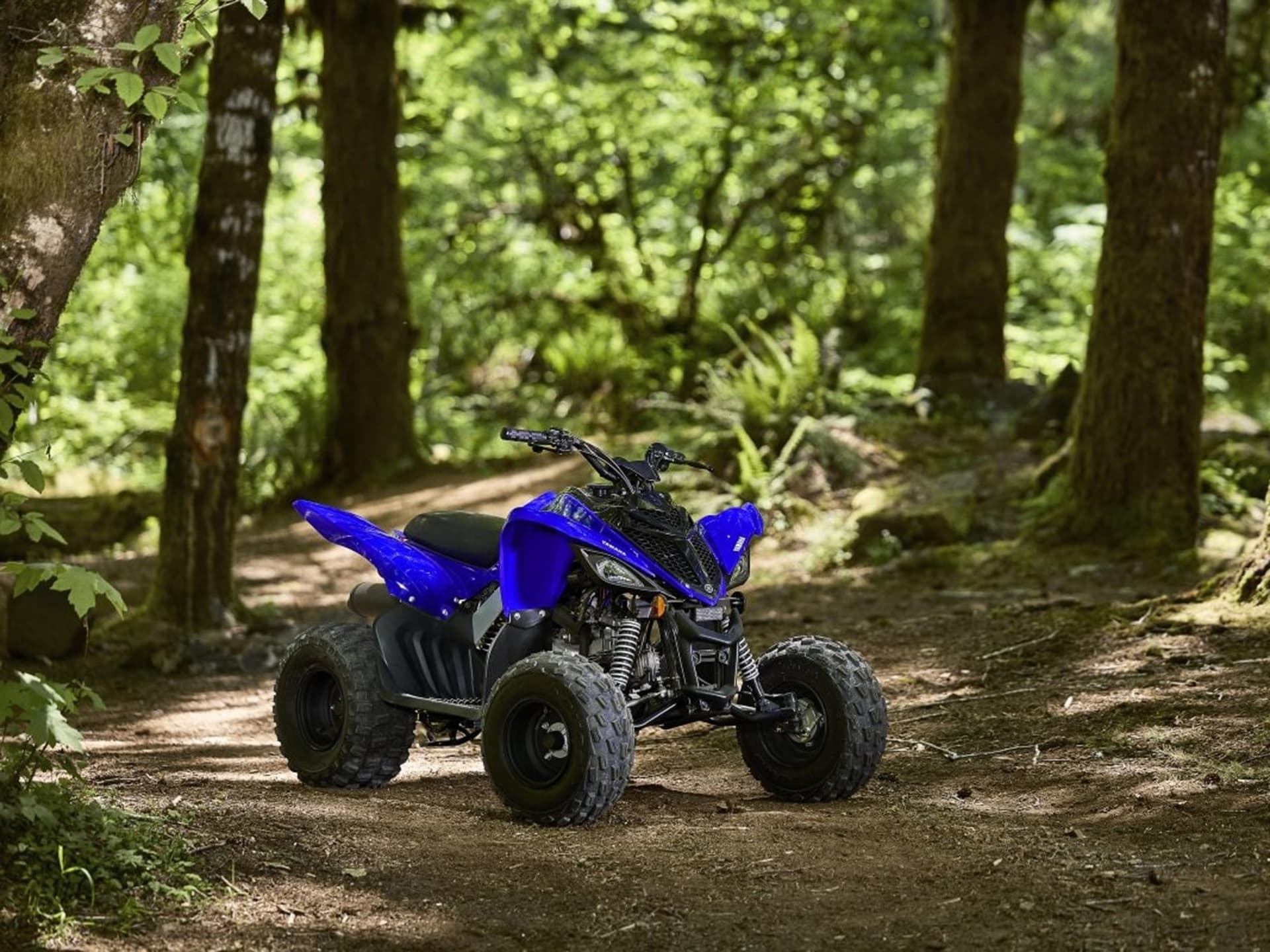 2025 Yamaha Raptor 110 - media 16