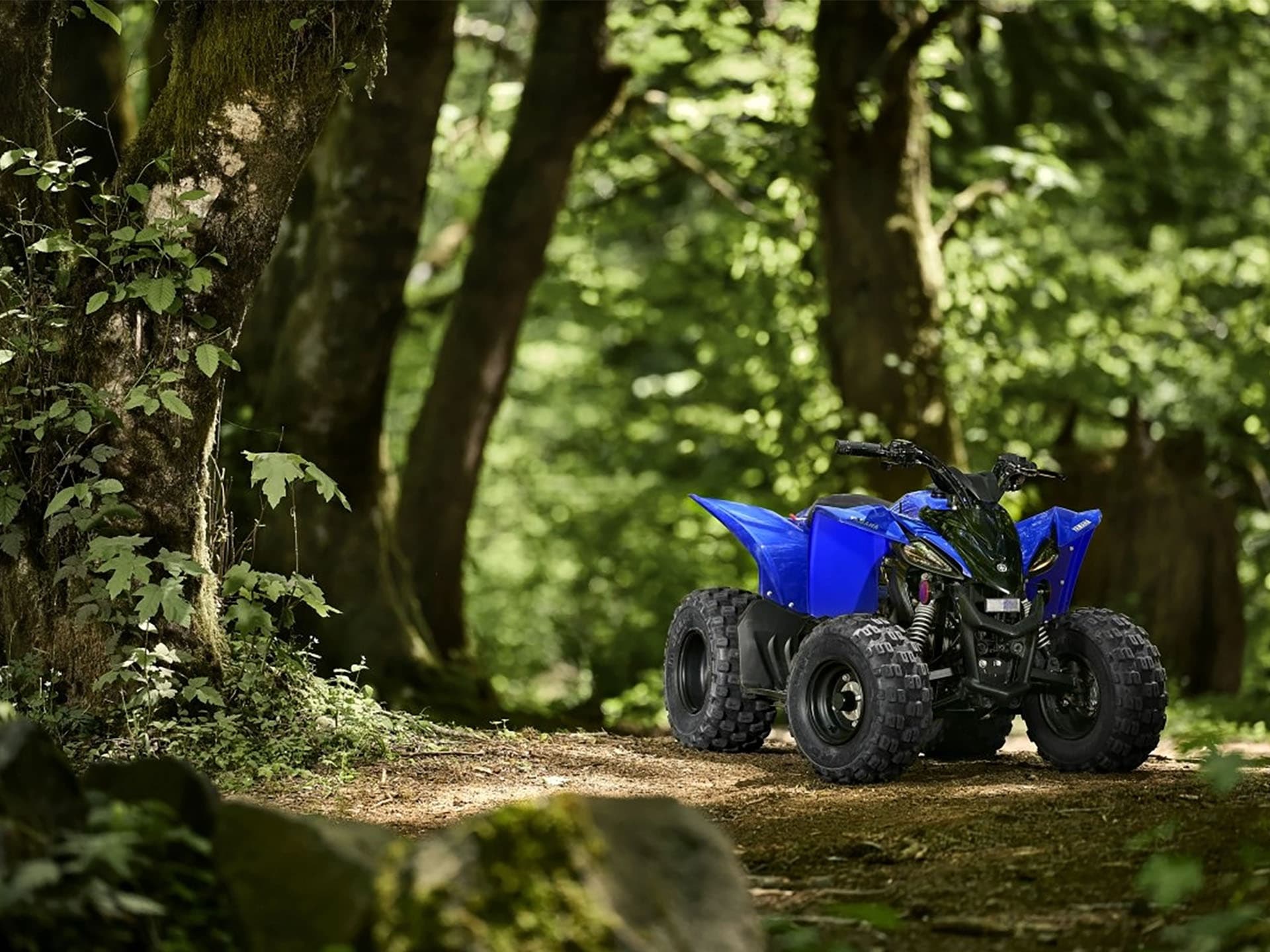 2025 Yamaha YFZ50 - media 7