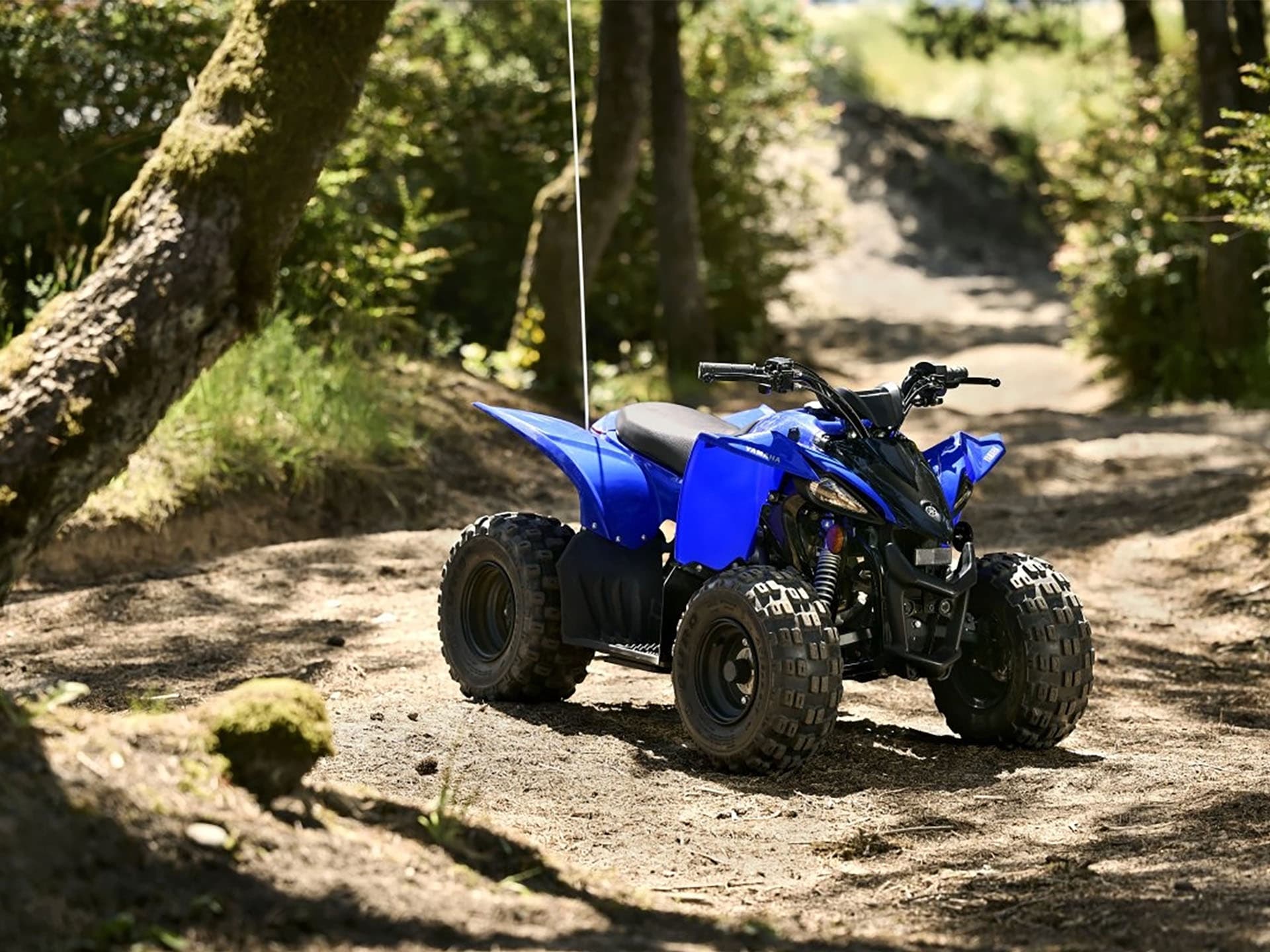 2025 Yamaha YFZ50 - media 11