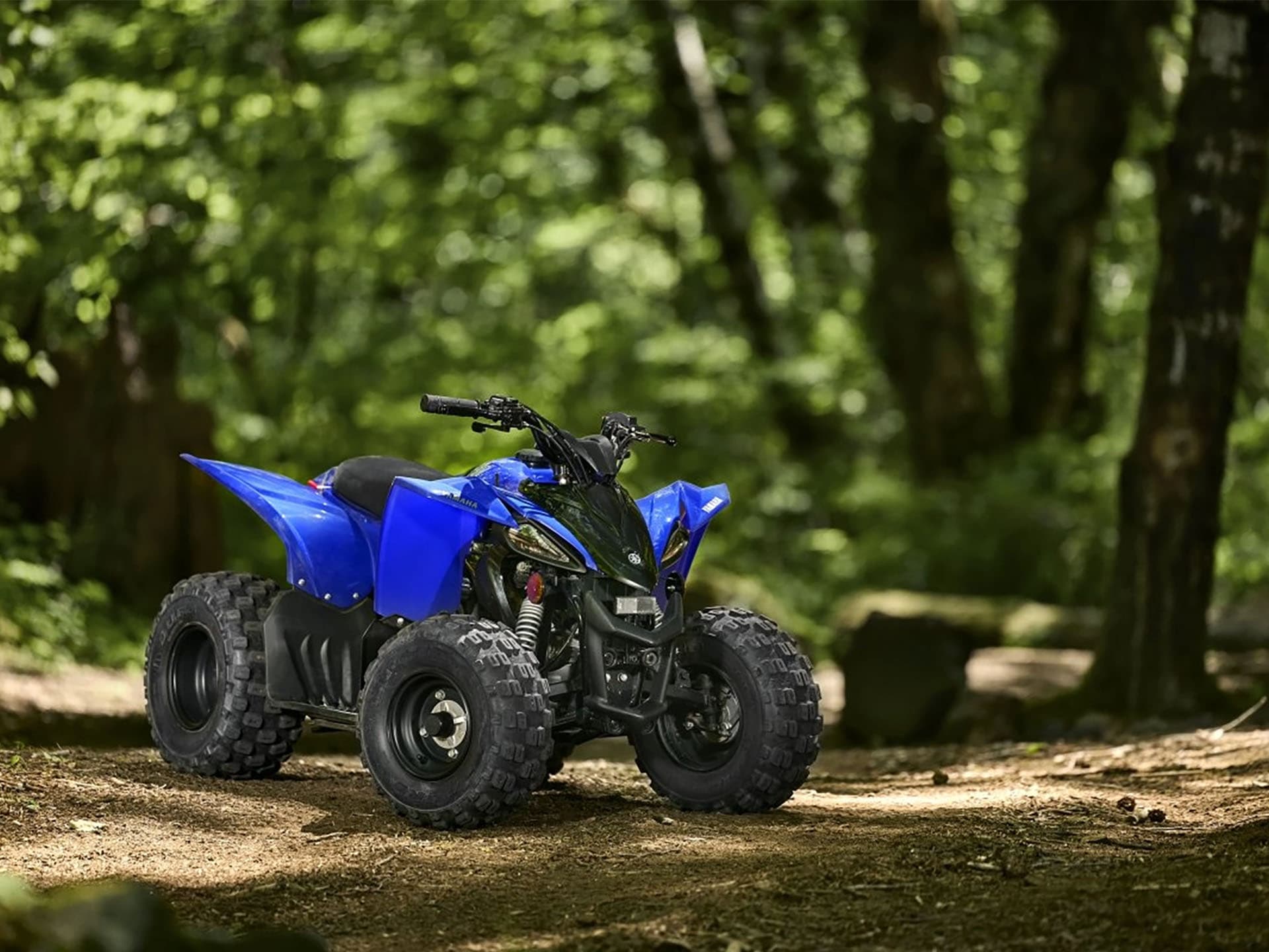 2025 Yamaha YFZ50 - media 12