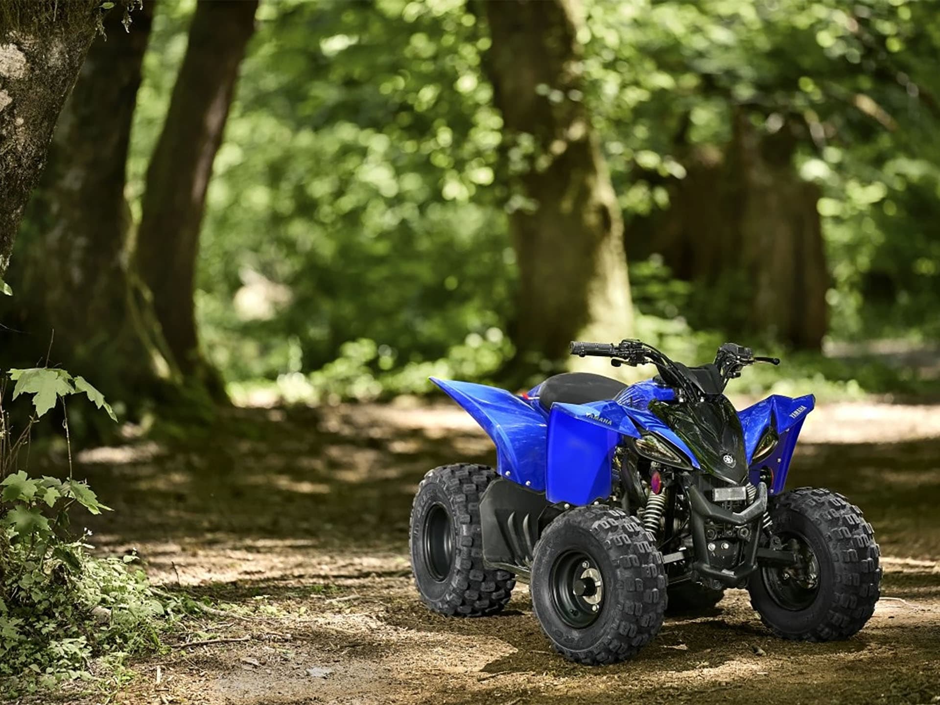 2025 Yamaha YFZ50 - media 8