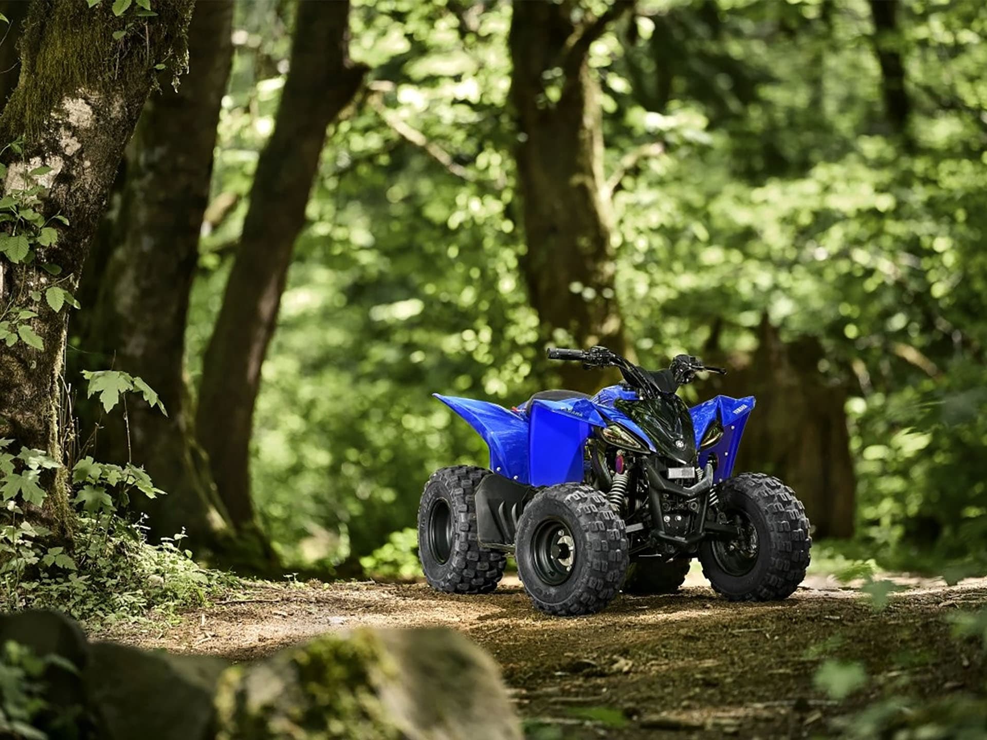 2025 Yamaha YFZ50 - media 9