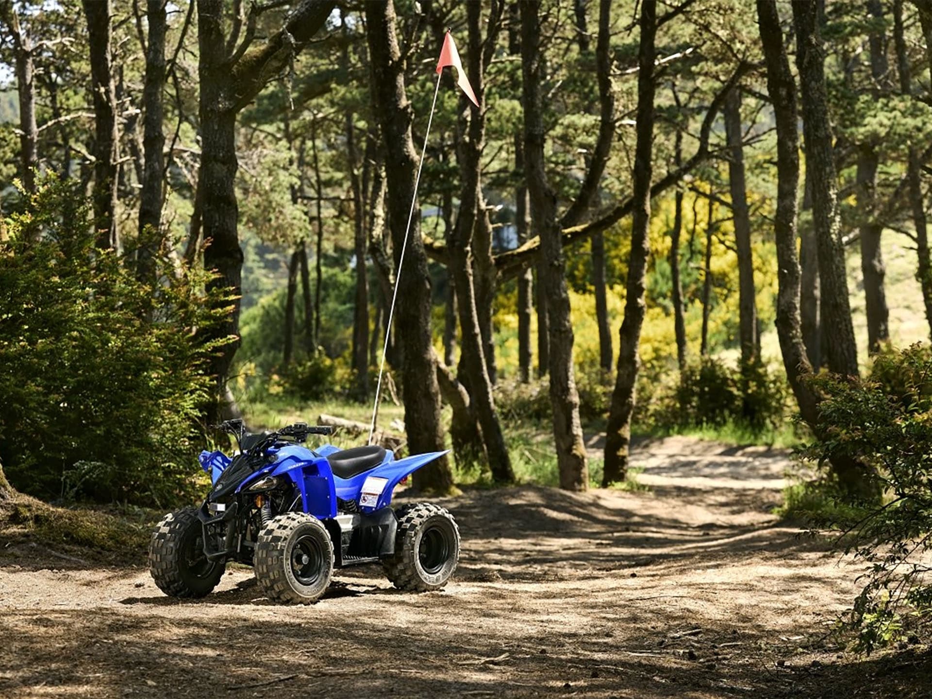 2025 Yamaha YFZ50 - media 10