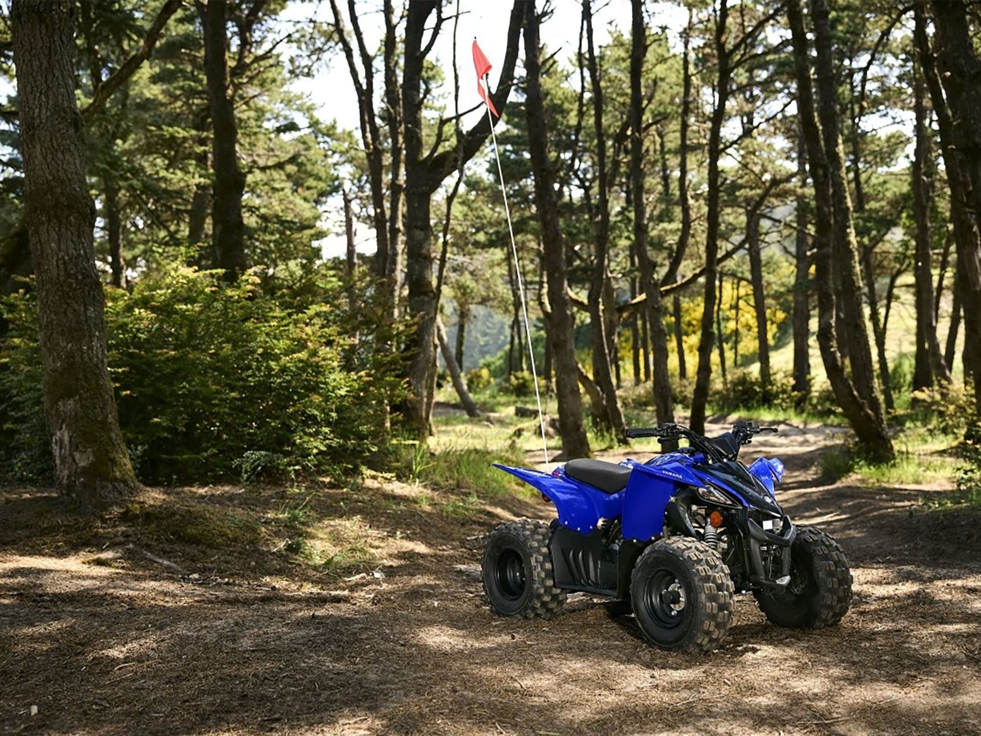 2025 Yamaha YFZ50 - media 13