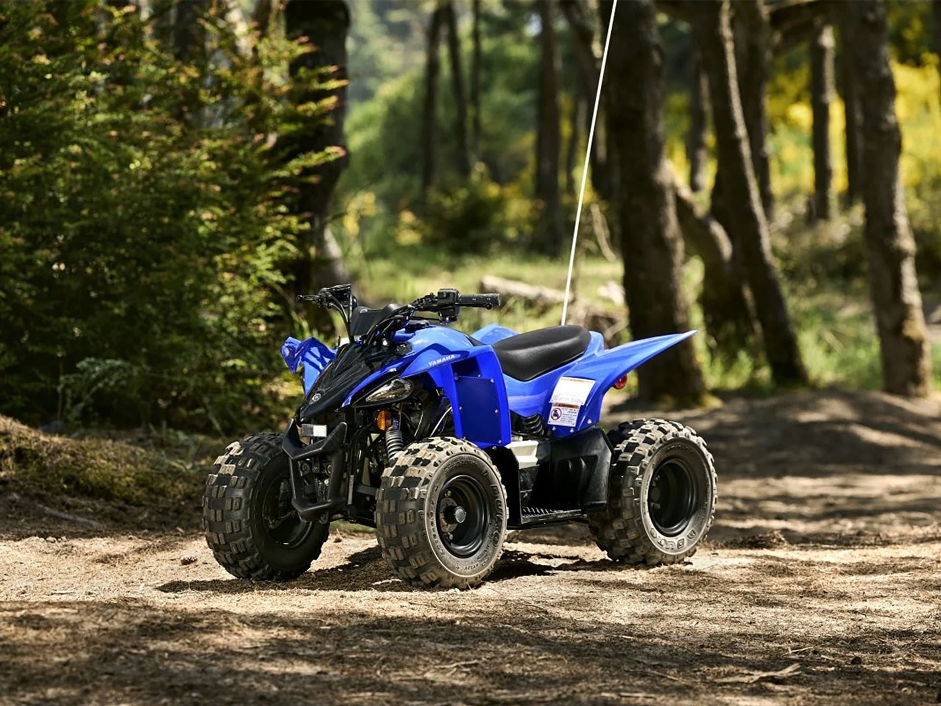 2025 Yamaha YFZ50 - media 14