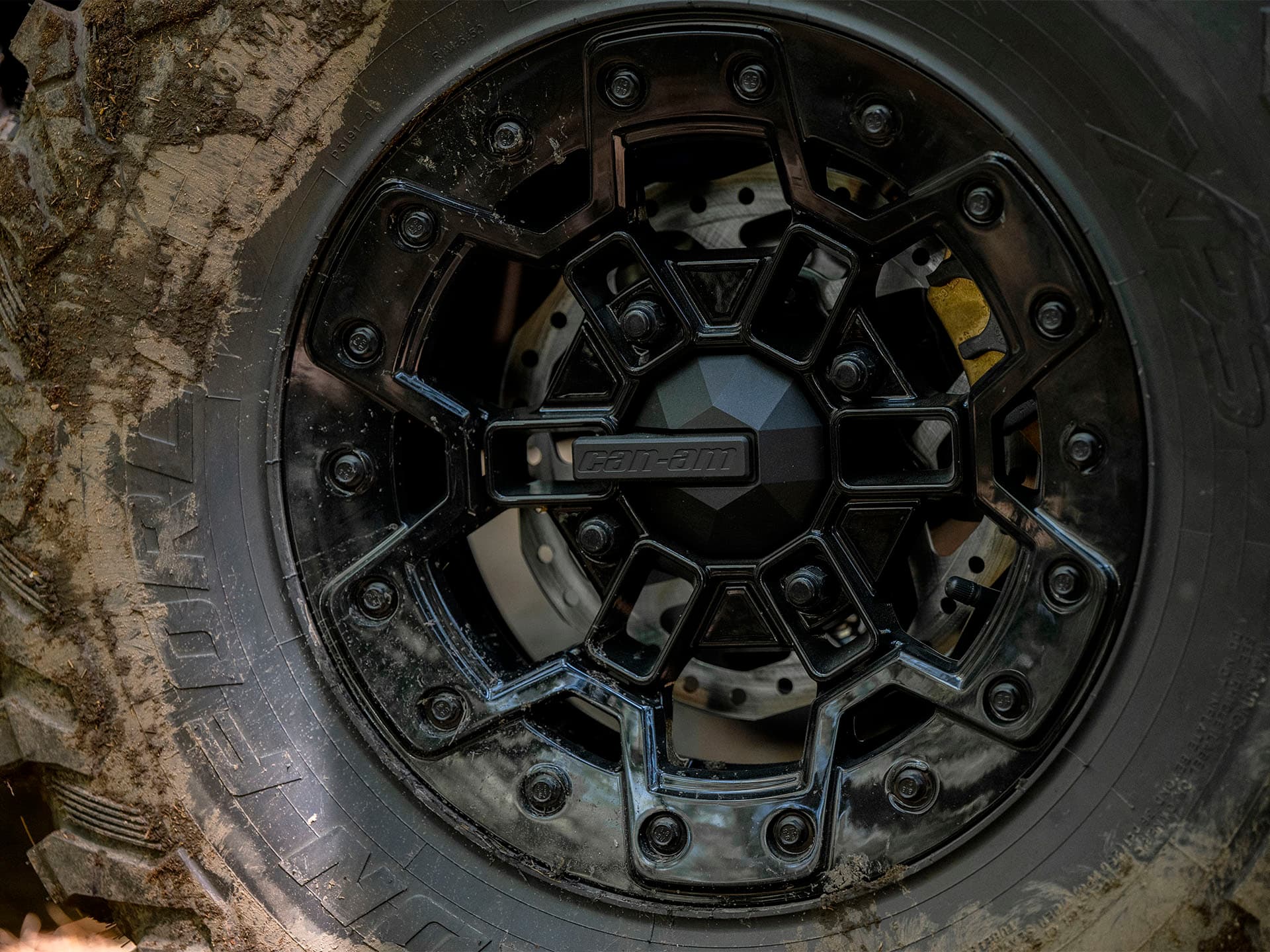 2026 Can-Am Outlander Backcountry 1000R - media 7