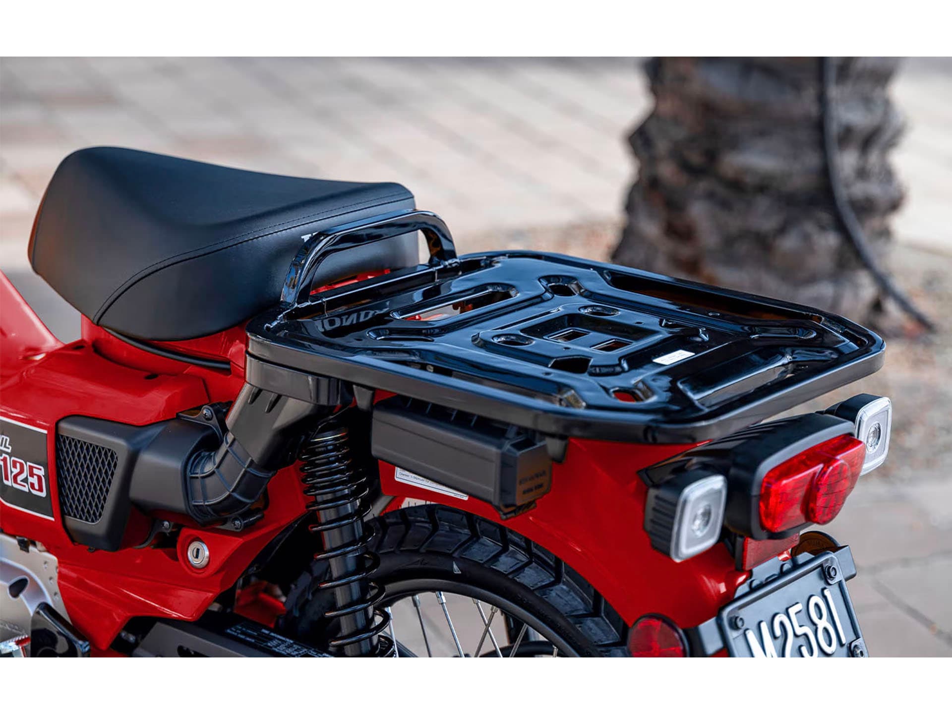 2025 Honda Trail125 - media 11