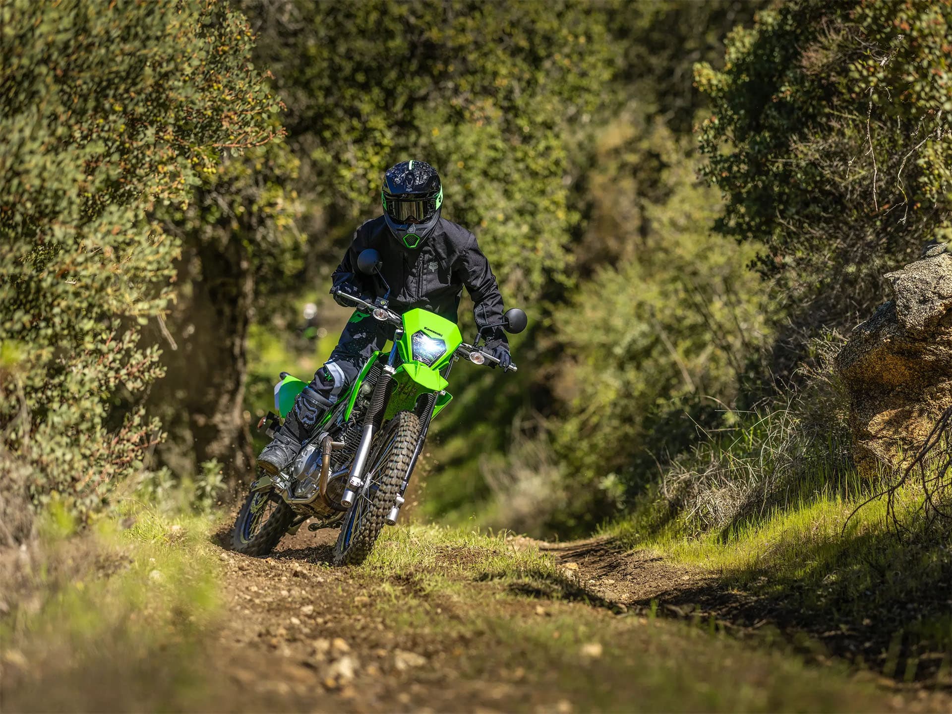 2026 Kawasaki KLX 230 S - media 4