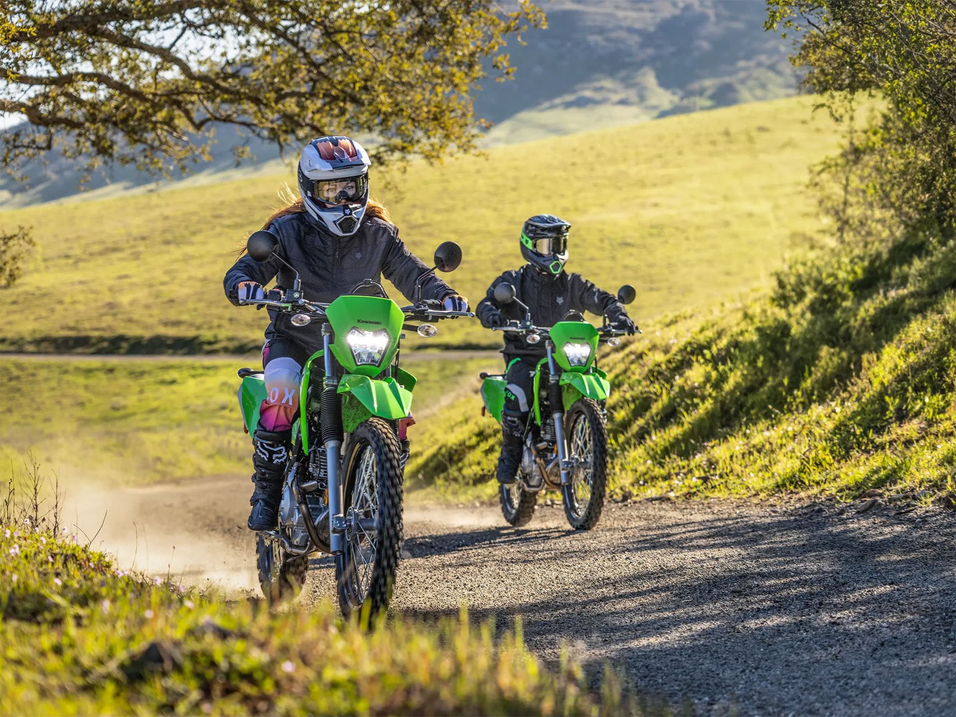 2026 Kawasaki KLX 230 S - media 5