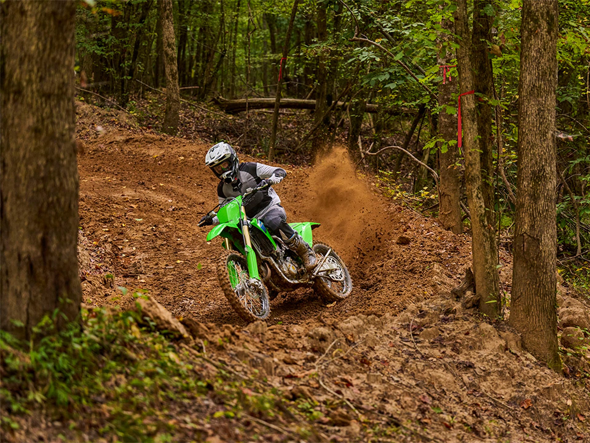 2026 Kawasaki KX 450X - media 6