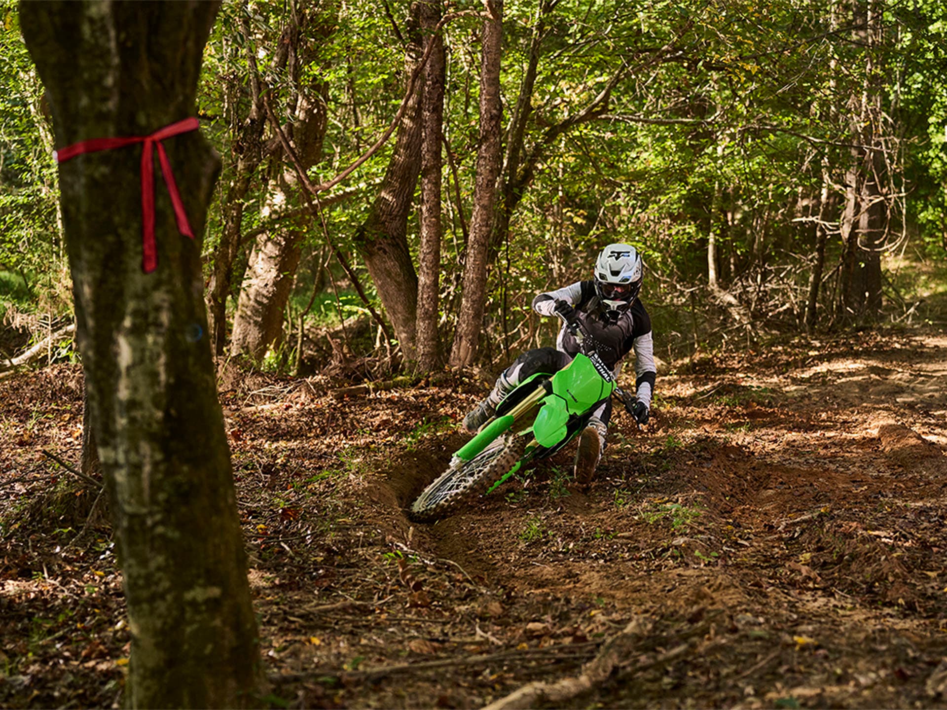 2026 Kawasaki KX 450X - media 7