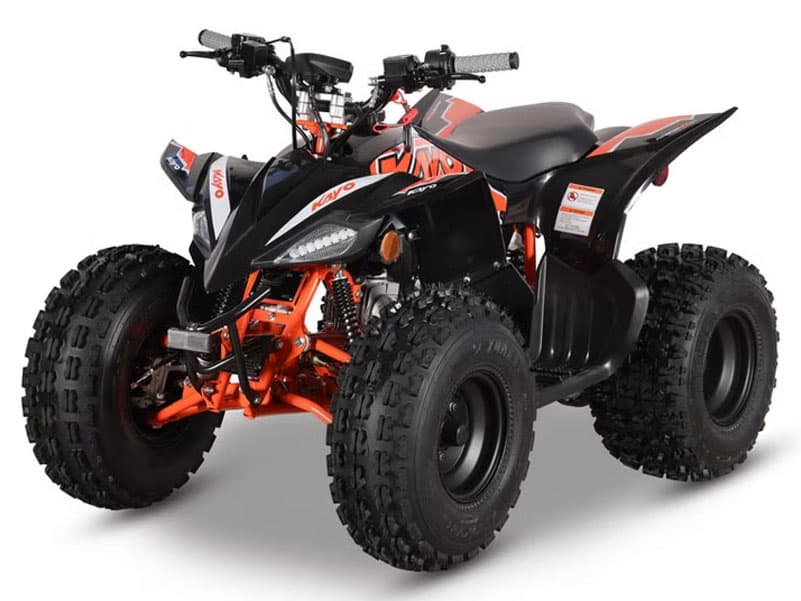 2026 Kayo Predator 125 EFI - media 4