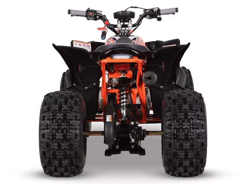 2026 Kayo Predator 125 EFI - media 8