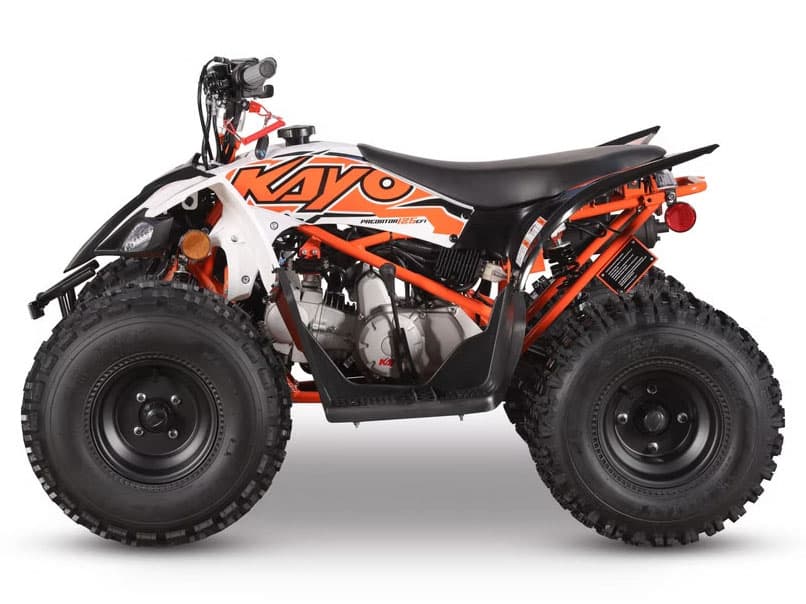 2026 Kayo Predator 125 EFI - media 2