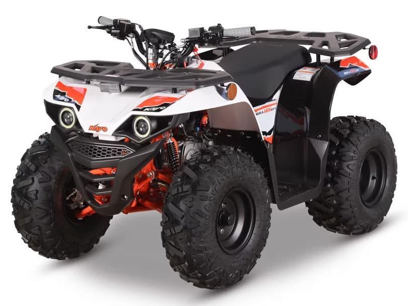 2026 Kayo Bull 125 EFI - media 4