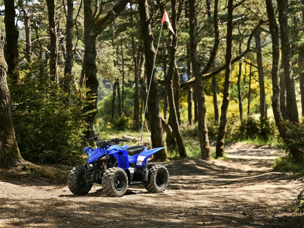 2026 Yamaha YFZ50 - media 10