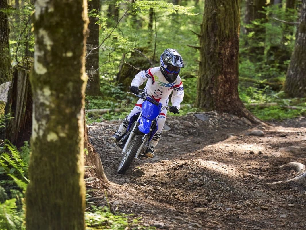 2026 Yamaha TT-R110E - media 15