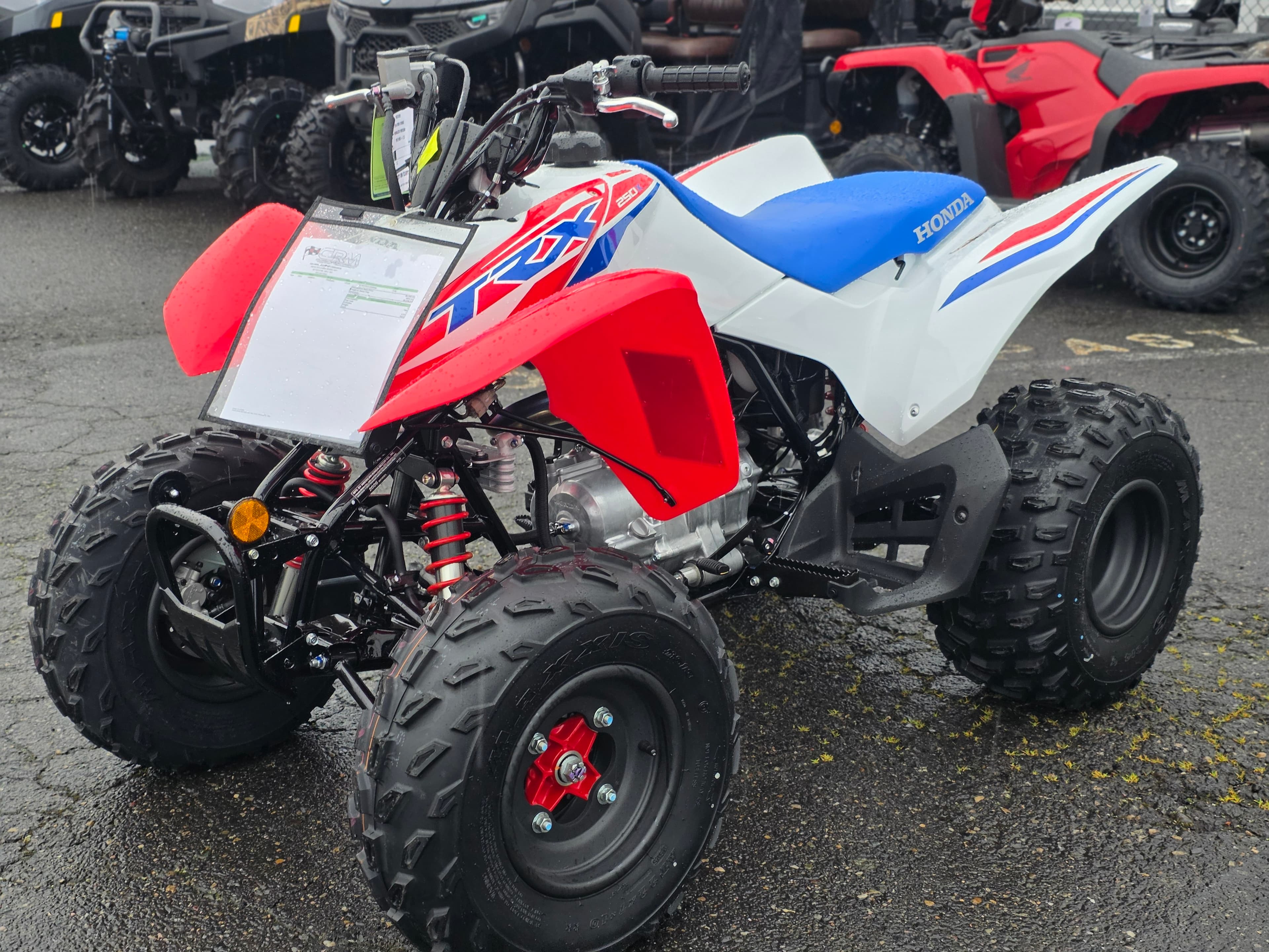 2026 Honda TRX250X - media 2