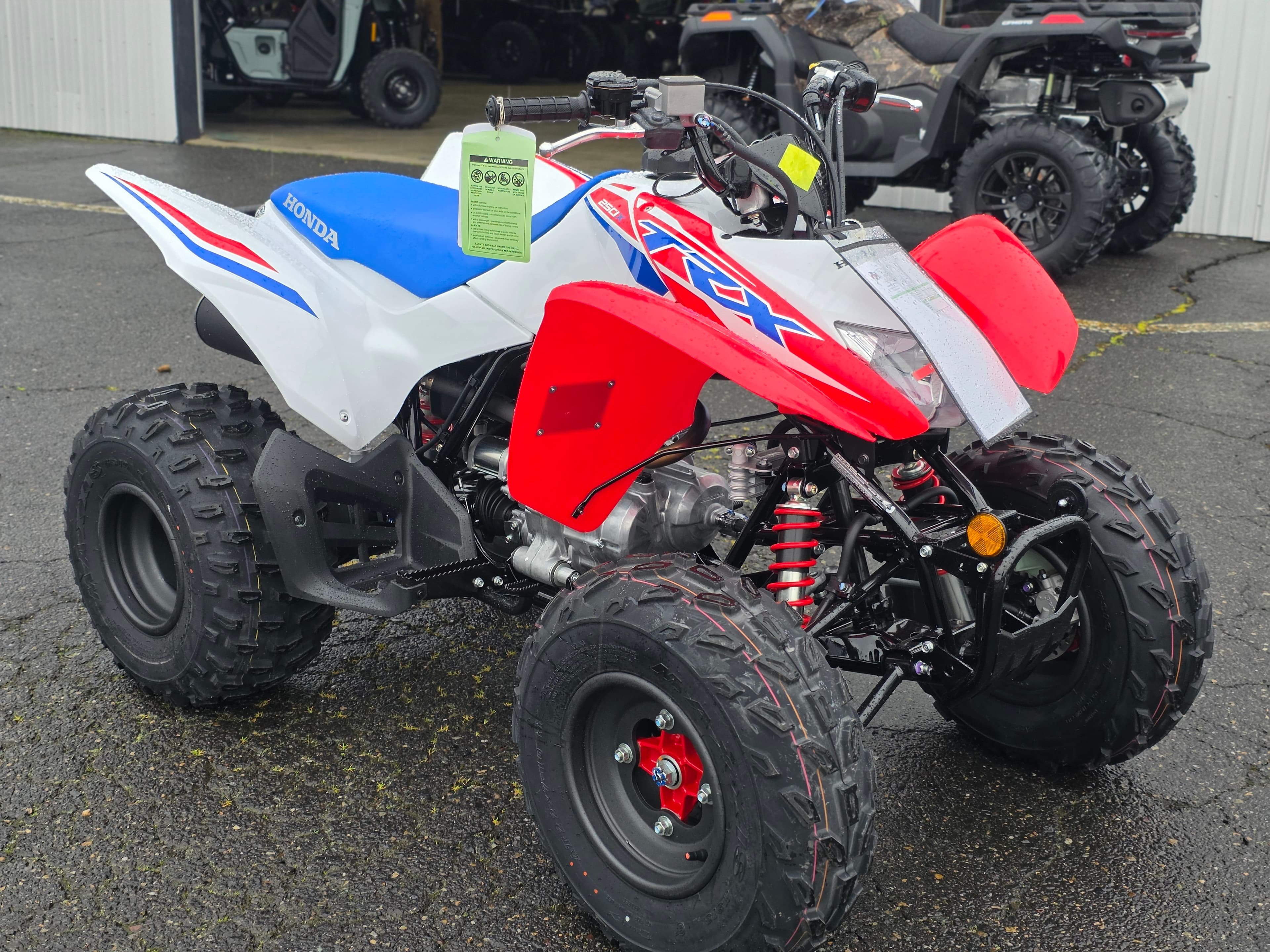 2026 Honda TRX250X - media 4